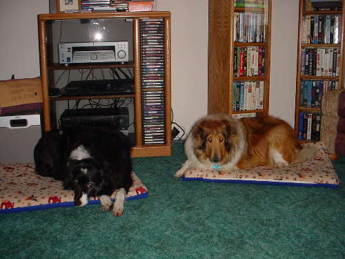 Misty and Tiko